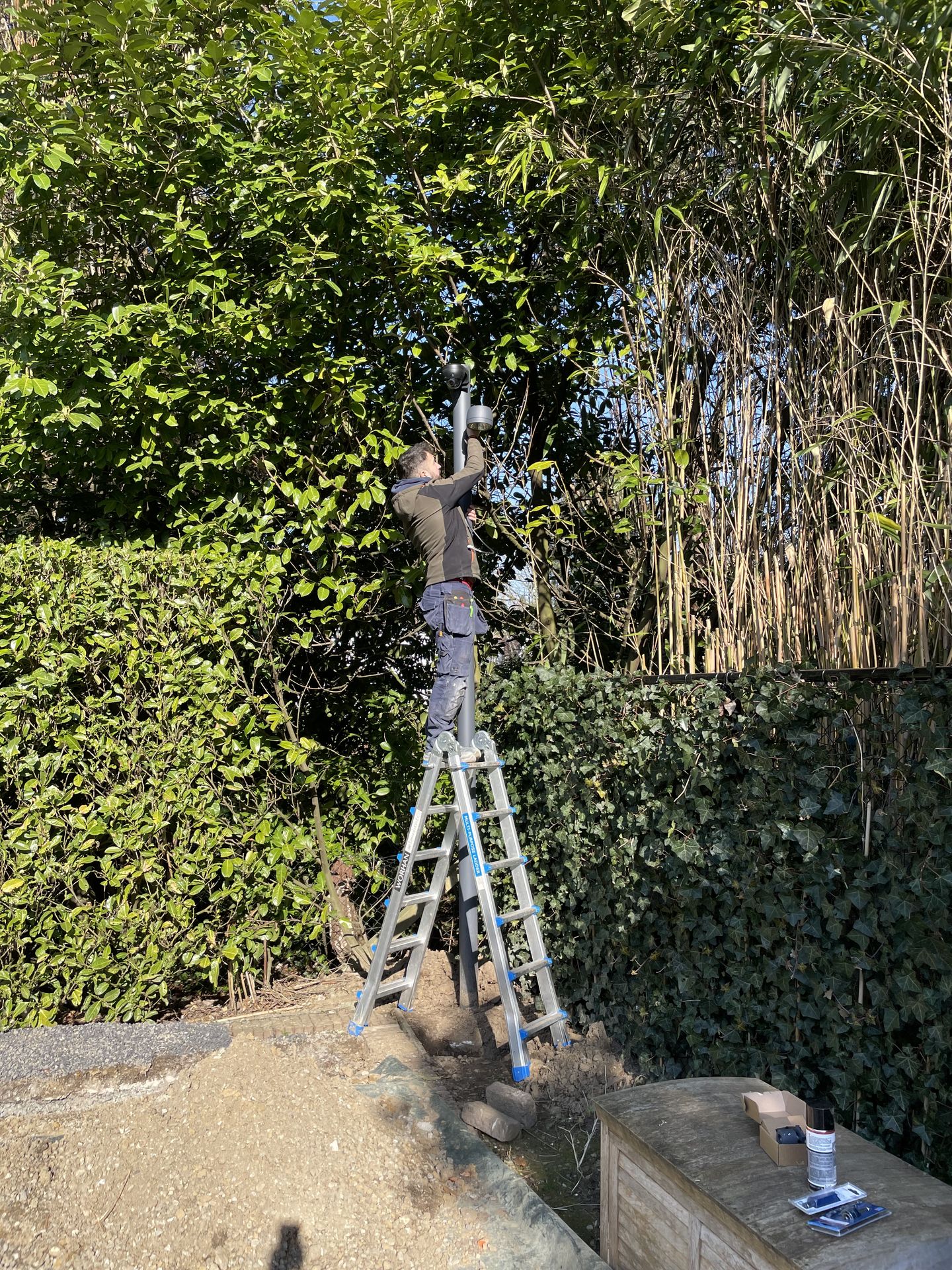 Installation d’éclairage dans une haie